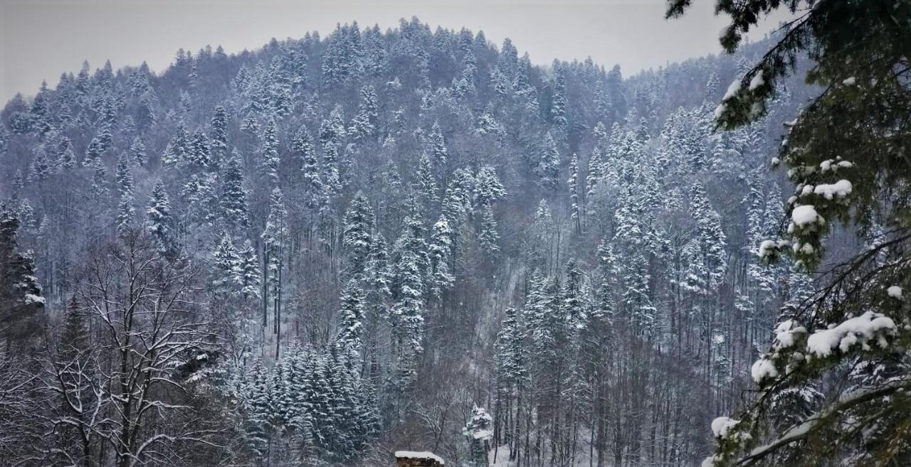 Apartament Greenstar Sinaia Exterior foto