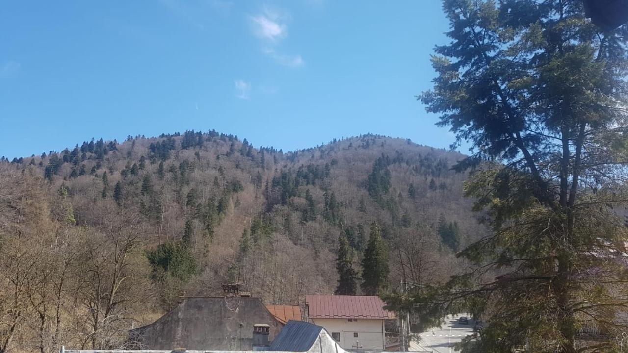 Apartament Greenstar Sinaia Exterior foto