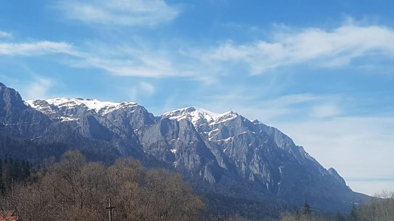 Apartament Greenstar Sinaia Exterior foto